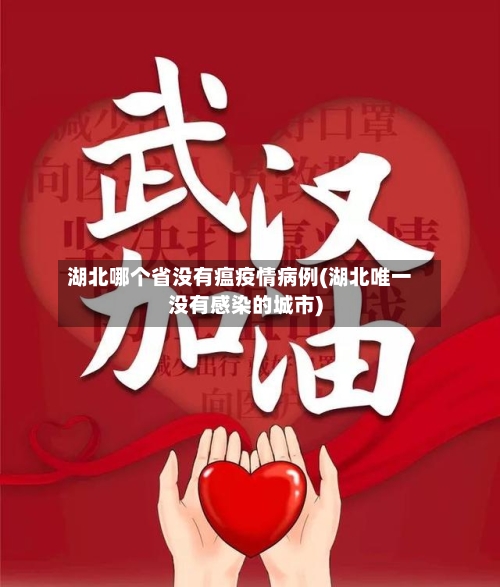 湖北哪个省没有瘟疫情病例(湖北唯一没有感染的城市)