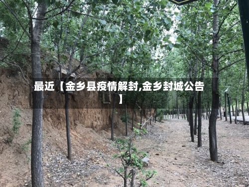 最近【金乡县疫情解封,金乡封城公告】