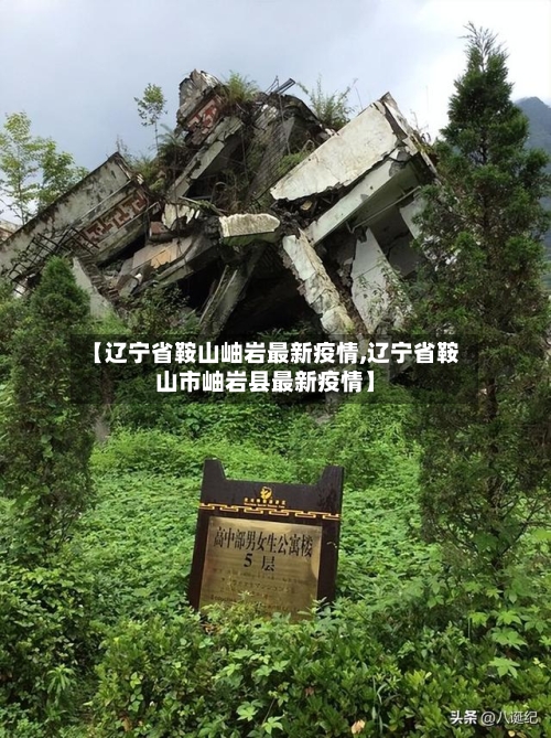 【辽宁省鞍山岫岩最新疫情,辽宁省鞍山市岫岩县最新疫情】