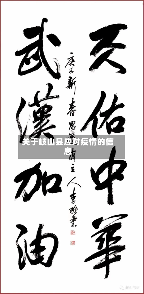 关于岐山县应对疫情的信息