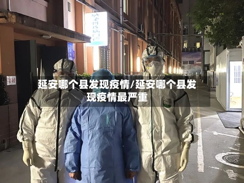 延安哪个县发现疫情/延安哪个县发现疫情最严重-第3张图片