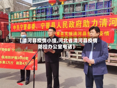 【清河县疫情小组,河北省清河县疫情防控办公室电话】-第3张图片