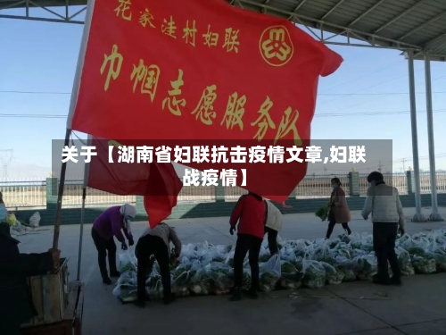 关于【湖南省妇联抗击疫情文章,妇联战疫情】