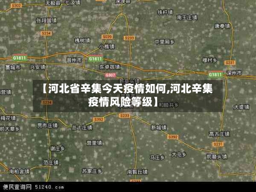 【河北省辛集今天疫情如何,河北辛集疫情风险等级】
