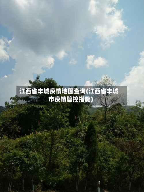 江西省丰城疫情地图查询(江西省丰城市疫情管控措施)-第3张图片