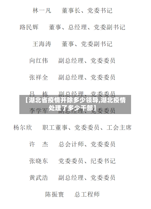 【湖北省疫情开除多少领导,湖北疫情处理了多少干部】-第3张图片