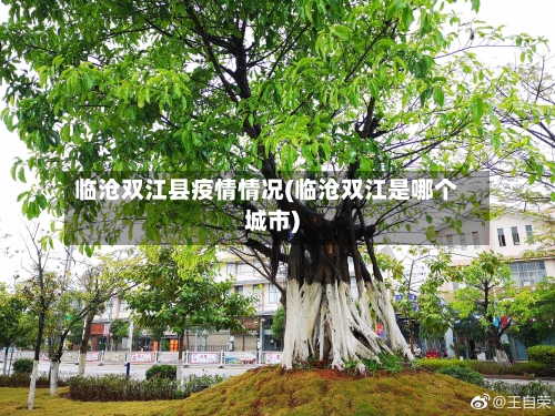临沧双江县疫情情况(临沧双江是哪个城市)