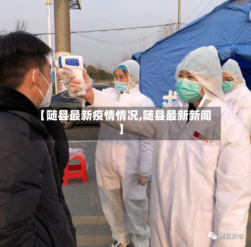 【随县最新疫情情况,随县最新新闻】