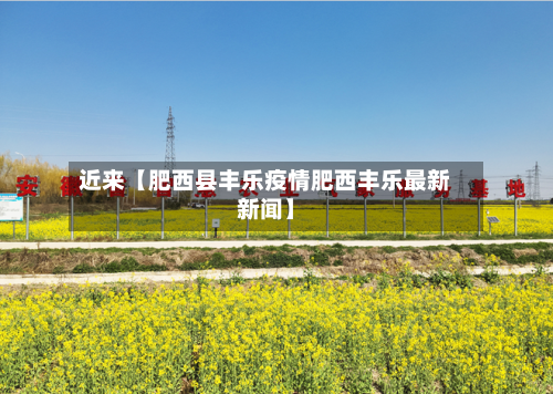 近来【肥西县丰乐疫情肥西丰乐最新新闻】-第3张图片