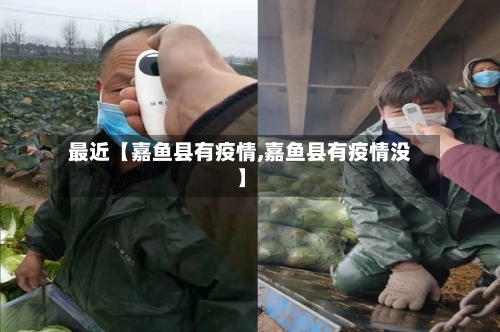 最近【嘉鱼县有疫情,嘉鱼县有疫情没】