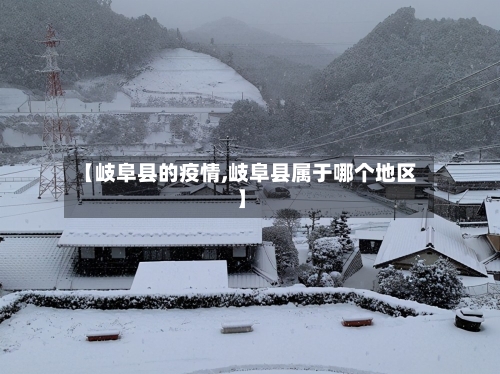 【岐阜县的疫情,岐阜县属于哪个地区】-第3张图片