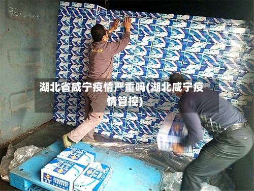 湖北省咸宁疫情严重吗(湖北咸宁疫情管控)-第2张图片