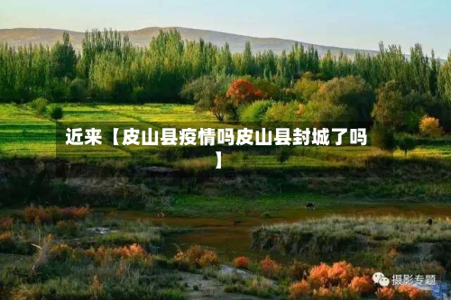 近来【皮山县疫情吗皮山县封城了吗】-第2张图片