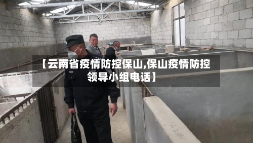 【云南省疫情防控保山,保山疫情防控领导小组电话】-第2张图片