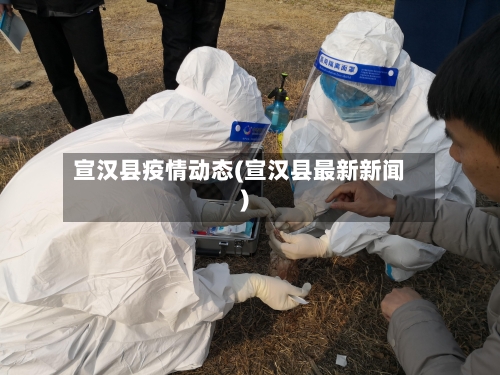 宣汉县疫情动态(宣汉县最新新闻)-第2张图片