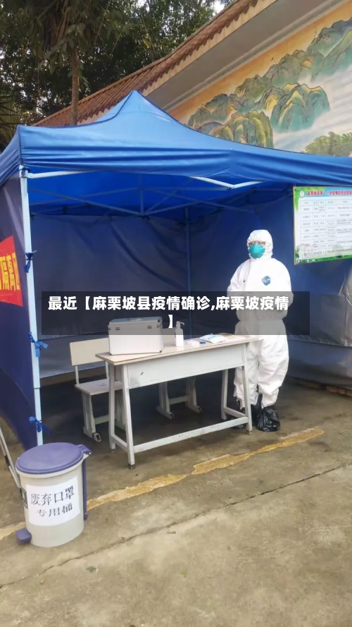 最近【麻栗坡县疫情确诊,麻粟坡疫情】