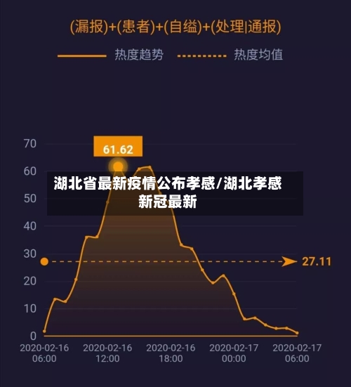 湖北省最新疫情公布孝感/湖北孝感新冠最新-第2张图片