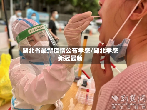 湖北省最新疫情公布孝感/湖北孝感新冠最新-第3张图片