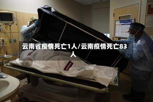 云南省疫情死亡1人/云南疫情死亡83人-第3张图片