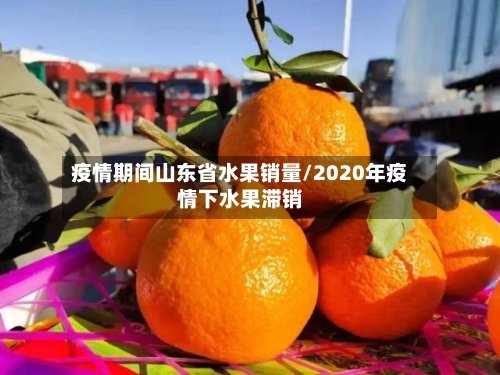 疫情期间山东省水果销量/2020年疫情下水果滞销