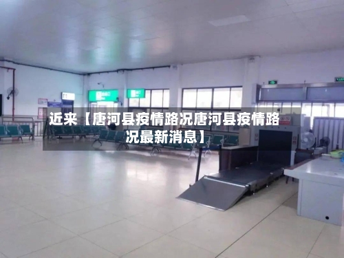 近来【唐河县疫情路况唐河县疫情路况最新消息】