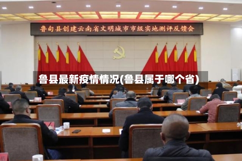鲁县最新疫情情况(鲁县属于哪个省)