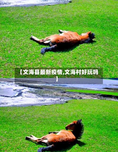 【文海县最新疫情,文海村好玩吗】-第3张图片