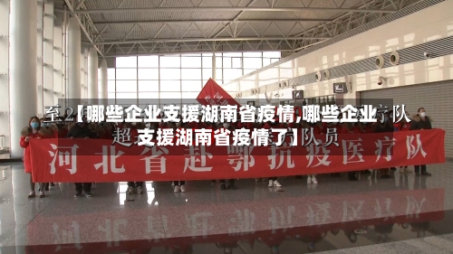 【哪些企业支援湖南省疫情,哪些企业支援湖南省疫情了】-第2张图片