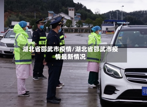 湖北省邵武市疫情/湖北省邵武市疫情最新情况-第2张图片