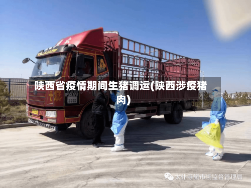 陕西省疫情期间生猪调运(陕西涉疫猪肉)