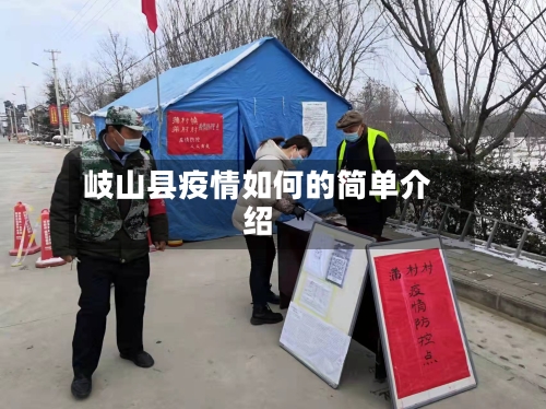 岐山县疫情如何的简单介绍