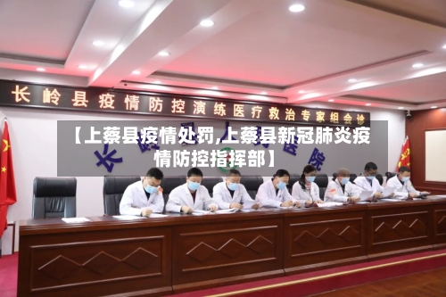 【上蔡县疫情处罚,上蔡县新冠肺炎疫情防控指挥部】-第2张图片