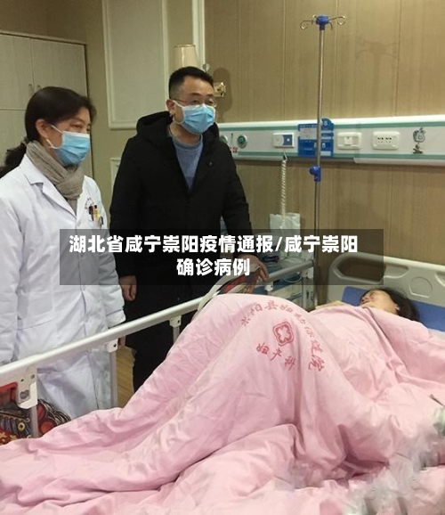 湖北省咸宁崇阳疫情通报/咸宁崇阳确诊病例-第2张图片