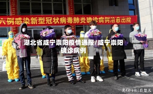 湖北省咸宁崇阳疫情通报/咸宁崇阳确诊病例