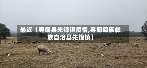 最近【寻甸县先锋镇疫情,寻甸回族彝族自治县先锋镇】