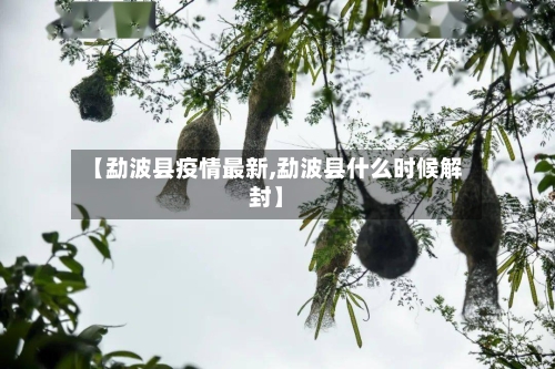 【勐波县疫情最新,勐波县什么时候解封】-第2张图片