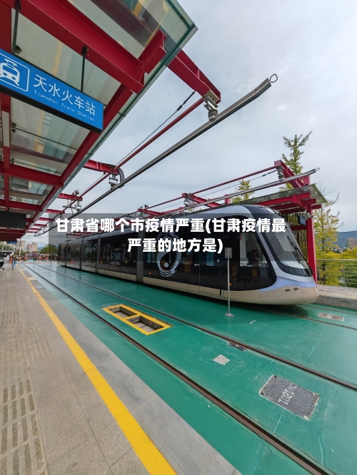 甘肃省哪个市疫情严重(甘肃疫情最严重的地方是)