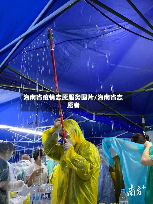 海南省疫情志愿服务图片/海南省志愿者-第2张图片