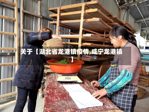 关于【湖北省龙港镇疫情,咸宁龙港镇】