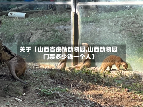 关于【山西省疫情动物园,山西动物园门票多少钱一个人】-第2张图片