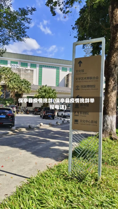 保亭县疫情挑衅(保亭县疫情挑衅举报电话)