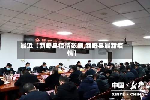 最近【新野县疫情数据,新野县最新疫情】-第3张图片