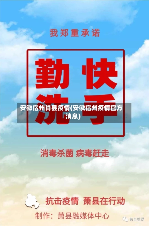 安徽宿州肖县疫情(安徽宿州疫情官方消息)-第3张图片