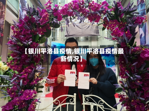 【银川平洛县疫情,银川平洛县疫情最新情况】-第2张图片