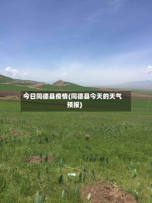 今日同德县疫情(同德县今天的天气预报)-第2张图片