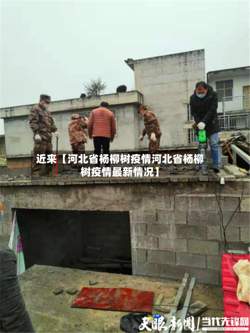 近来【河北省杨柳树疫情河北省杨柳树疫情最新情况】-第2张图片