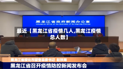 最近【黑龙江省疫情几人,黑龙江疫情总人数】-第2张图片