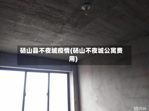 砀山县不夜城疫情(砀山不夜城公寓费用)