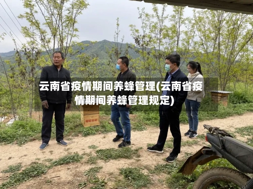 云南省疫情期间养蜂管理(云南省疫情期间养蜂管理规定)