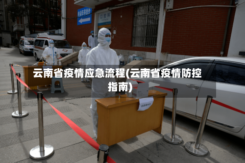 云南省疫情应急流程(云南省疫情防控指南)-第2张图片